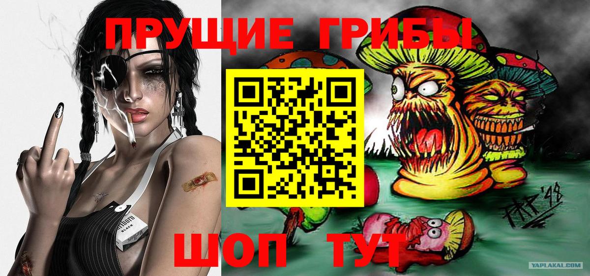 купить  цена  Псилоцибиновые грибы прущие грибы  Псилоцибиновые грибы мицелий  Вход с VPN  Зима 