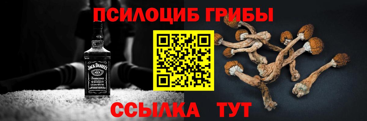 Галлюциногенные грибы MAGIC MUSHROOMS Зима